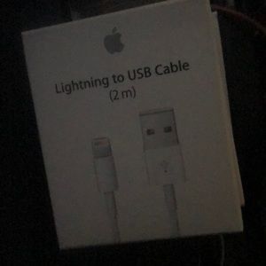 Apple charger (2m)